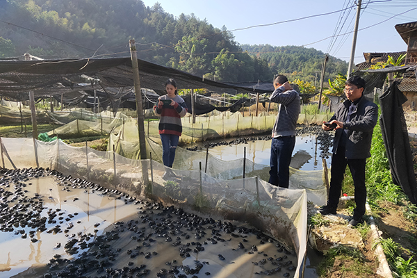 三亿体育饮用水源水质达标率100%！福建检察守好这条供水“生命线”