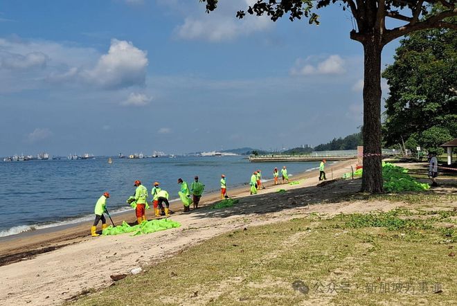 400吨燃油扩散新加坡、160义工紧急清理！对供水、鱼类、空气影响状况曝光三亿体育(图3)