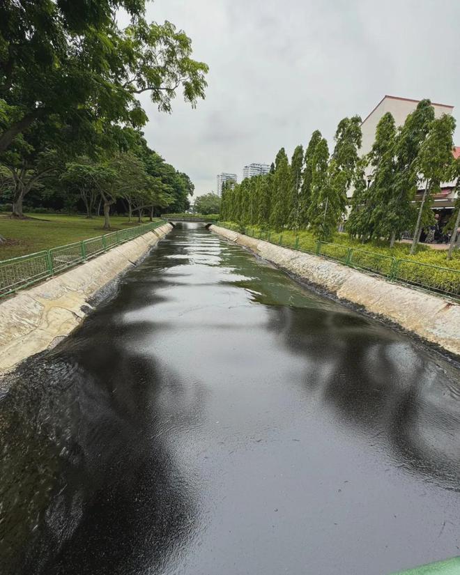 400吨燃油扩散新加坡、160义工紧急清理！对供水、鱼类、空气影响状况曝光三亿体育(图5)