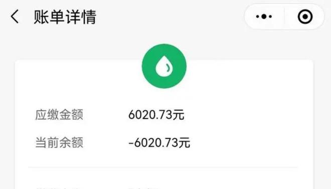 三亿体育回顾：湖南女子一个月用水2000吨供水公司关闭水阀后真相显露(图2)